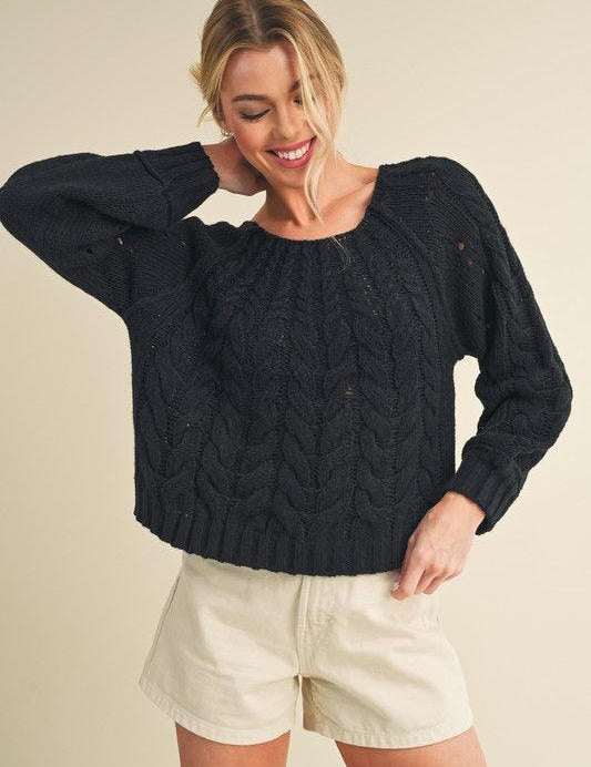Aemi + Co Cable-Knit Openwork Round Neck Sweater Black | Sweaters Daverri Fashions