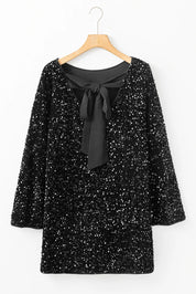 Sequin Round Neck Long Sleeve Mini Dress | Daverri Fashions