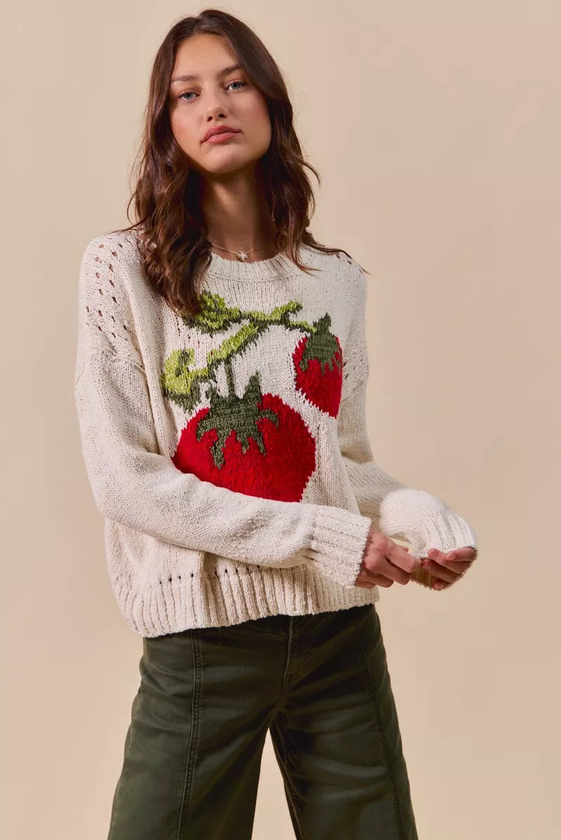 SO ME Vegetable Round Neck Long Sleeve Sweater | Sweaters Daverri Fashions