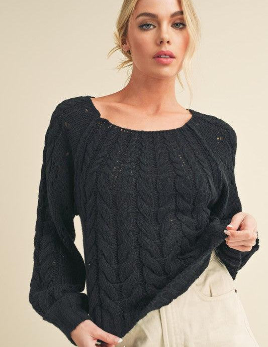 Aemi + Co Cable-Knit Openwork Round Neck Sweater Black | Sweaters Daverri Fashions