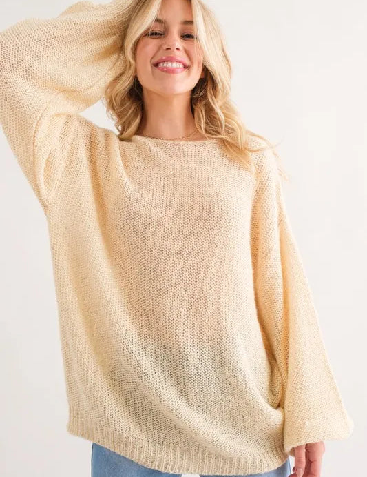 CREAM And The Why Sequined Light Weight Pullover Sweater | Sweaters Daverri Fashions