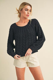 Black Aemi + Co Cable-Knit Openwork Round Neck Sweater Black | Sweaters Daverri Fashions