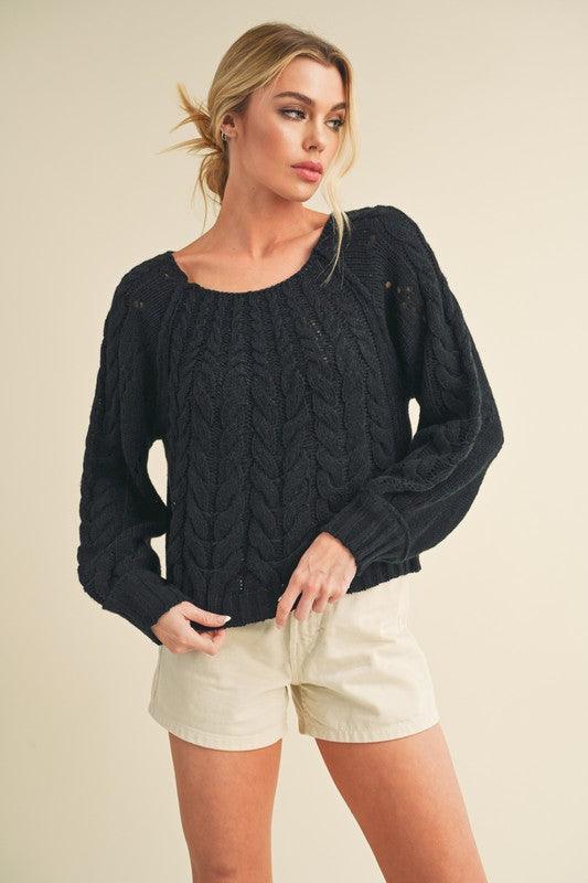 Black Aemi + Co Cable-Knit Openwork Round Neck Sweater Black | Sweaters Daverri Fashions