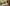 Womens Summer Dresses Banner-DAVERRI FASHIONS
