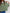 0a10b861-6e6d-4366-b779-115a52a53acb-Max-Origin
