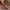 117d0c471b034b4dbca987cb36f3590c-Max-Origin