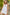 La Miel Monterey Boho Bralette Dress Midi Dresses