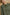 17277be9-09ea-42ca-9f26-d8df562d3b6e-Max-Origin