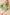 Carter Pullover GREEN TEA S Tops