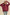 Woman wearing a burgundy hoodie with a beige background
