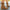 196700d8321a4edfa9651a75a12220a0-Max-Origin