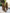 19f4e6977c6141efb72449450b63f08c-Max-Origin