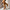 20986f99b6804dff887e497a9a9e5cd4-Max-Origin