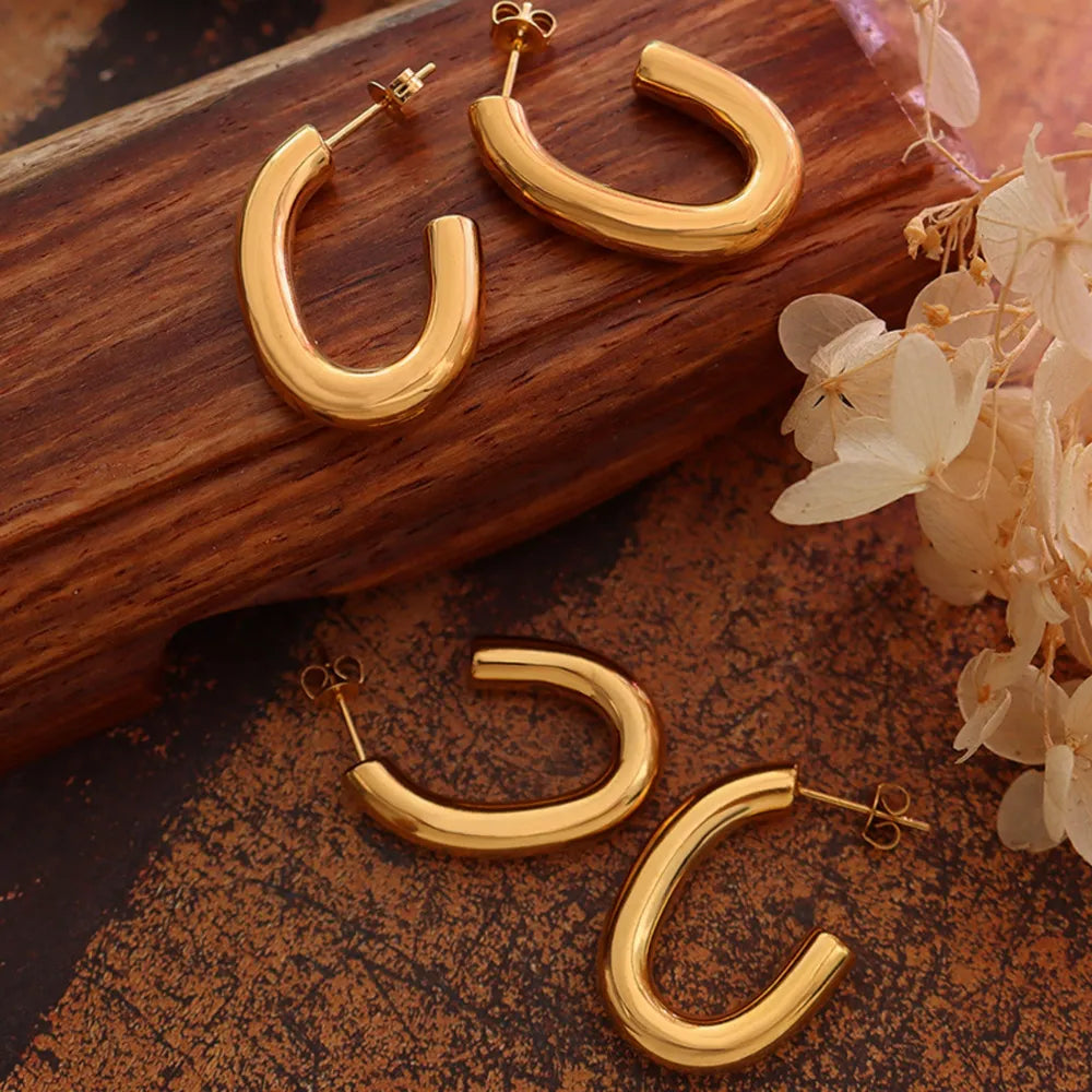 Titanium Steel Gold-Plated Earrings | Earrings Daverri Fashions