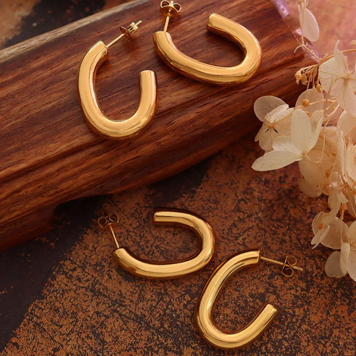 Titanium Steel Gold-Plated Earrings | Earrings Daverri Fashions