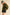 Aemi + Co Collared Neck Zip Up Sherpa Jacket Jackets