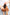 Danica Crossbody Purse