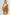 Aemi + Co Side Slit Exposed Seam Button Up Corduroy Jacket Jackets