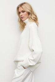 Basic Bae Turtleneck Dropped Shoulder Long Sleeve Sweater | Sweaters Daverri Fashions