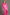 Umgee Full Size Animal Print Button Down Midi Shirt Dress Plus Size Fuchsia Pink 1XL