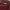 2c4d1a09-7012-4494-b6fb-76a89945a4c7-Max