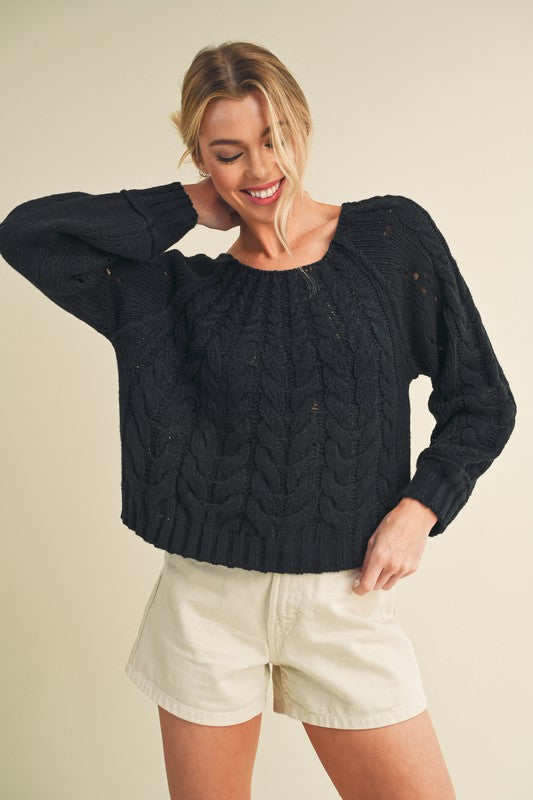 Aemi + Co Cable-Knit Openwork Round Neck Sweater Black Sweaters