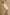 3141b771-b4a0-4554-9387-d47732c3e7d0-Max-Origin