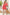 ADORA Puff Sleeve Floral Dress CORAL Mini Dresses