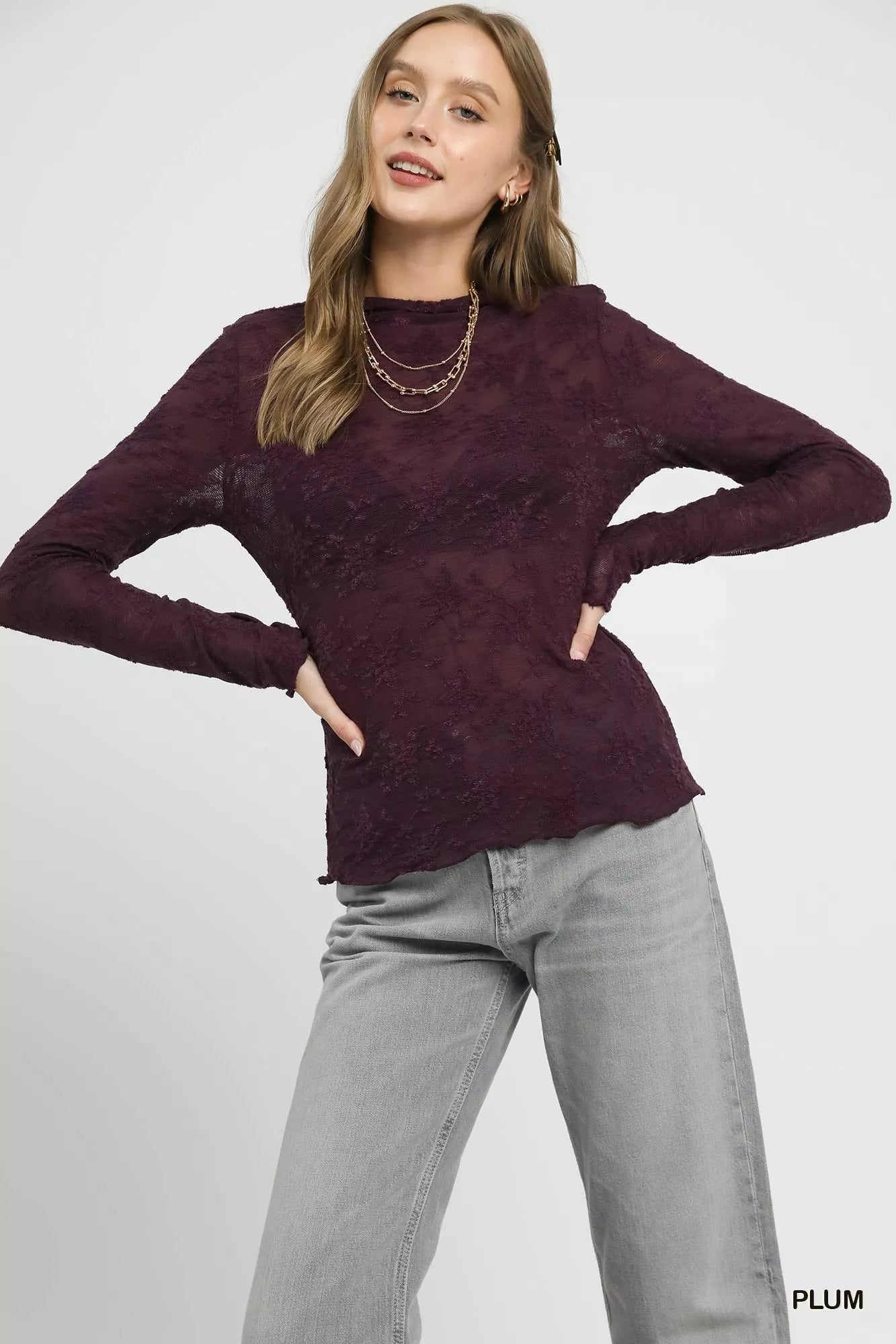 PLUM Umgee Lace Sheer Long Sleeve Top | Tops Daverri Fashions