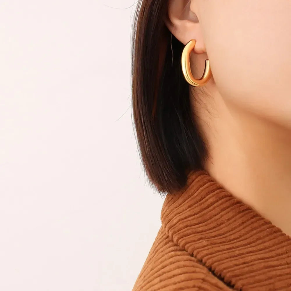 Titanium Steel Gold-Plated Earrings - DAVERRI FASHIONS