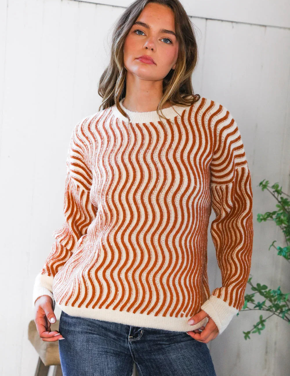 Cinnamon Swirls Cozy Pullover | Daverri Fashions