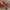 3a173c46d54c4a15977ab702306dd56e-Max-Origin