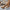 3b5498b2774d4d3381b12b2fec56eb60-Max-Origin