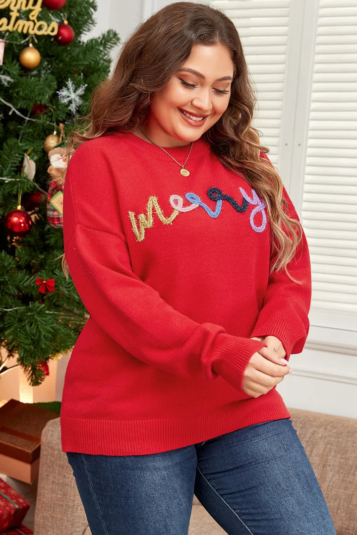 Plus Size MERRY Round Neck Long Sleeve Sweater | Sweaters Daverri Fashions