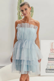 SKY BLUE BiBi Sleeveless Layered Organza Dress | Mini Dresses Daverri Fashions