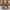 4301cb7d2b5c4748b12ac8bea47b2568-Max-Origin