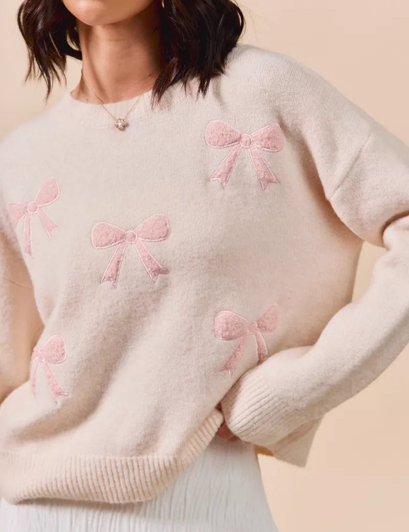 SO ME Embroidered Ribbon Round Neck Sweater | Sweaters Daverri Fashions