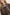 46326445-a8d8-4e1f-87ad-9b6475333593-Max-Origin