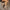 4763cea251314008a2c82dded69b5b90-Max-Origin