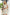 ADORA Applique Round Neck Sleeveless Shift Dress Mini Dresses