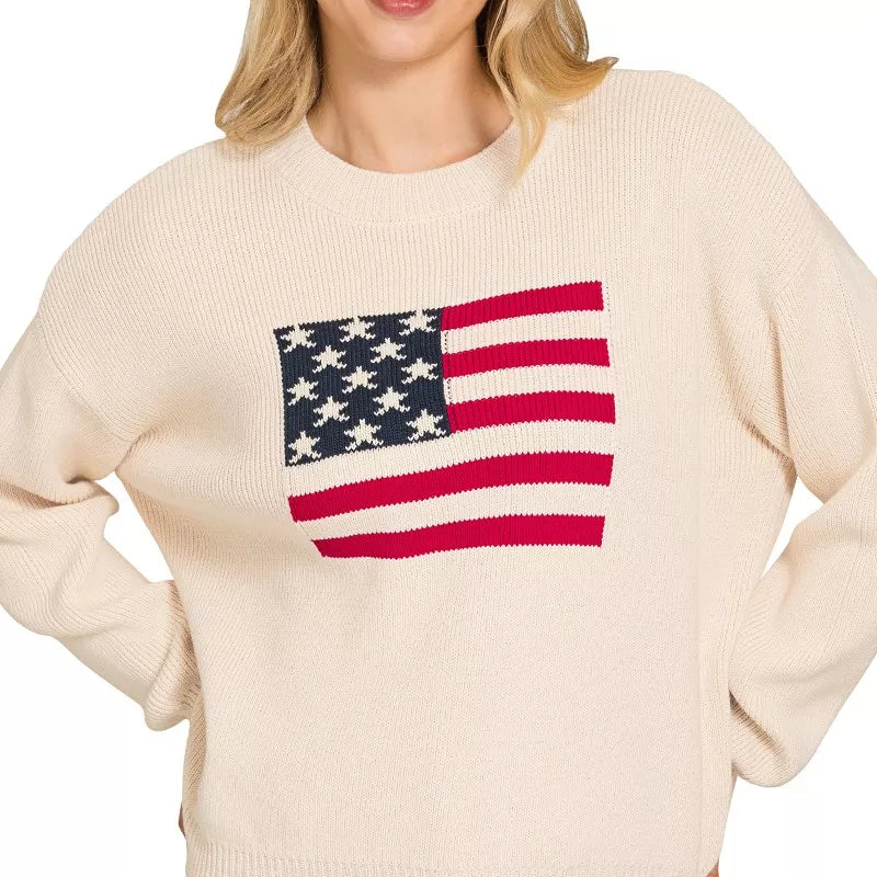 LT BEIGE Zenana American Flag Crew Neck Sweater | Daverri Fashions