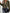 5046a2861b1a4317b9984331458413ee-Max-Origin