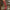 5688edadd2e94d90a004523095778cc5-Max-Origin