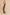 Aemi + Co Ditsy Floral Surplice Sleeveless Wide Leg Jumpsuit Jumpsuits