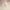 701bbfce-1703-435f-a793-21f57dcd2b2c-Max