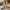 72c63d69bc454ed890230542a0981c5f-Max-Origin
