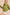 Carter Pullover PISTACHIO S Tops