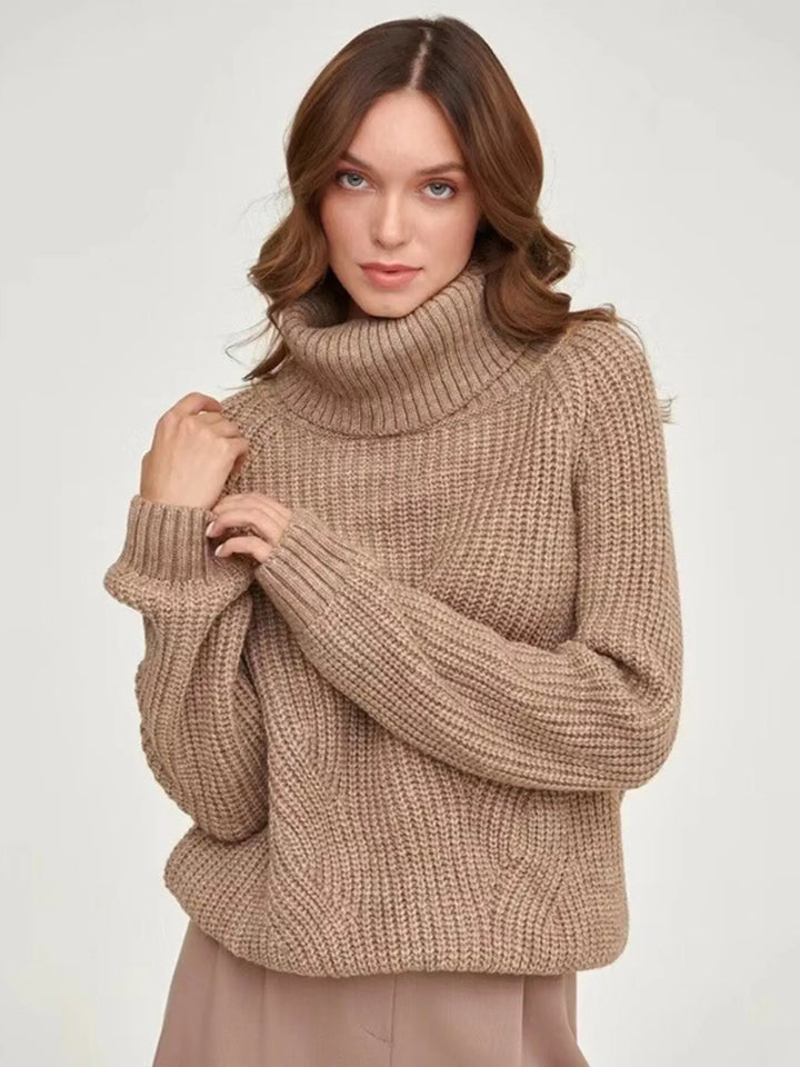 Brown Turtleneck Long Sleeve Sweater | Sweaters Daverri Fashions