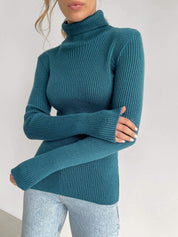 Haze Blue Free Size Women's Knit Turtleneck Pullover | Sweaters Daverri Fashions