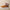 869c24c265b349be8d1947ecf78021f9-Max-Origin